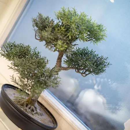 Apartmán Christa App 1 Wenningstedt-Braderup